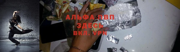 гидра Абаза