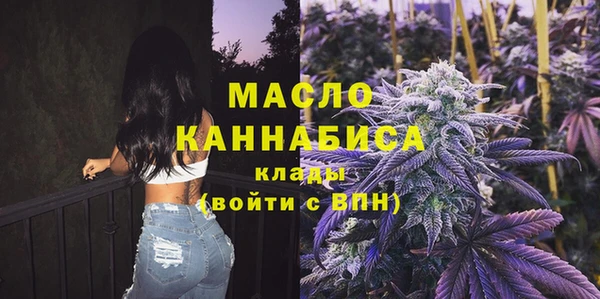 гидра Абаза