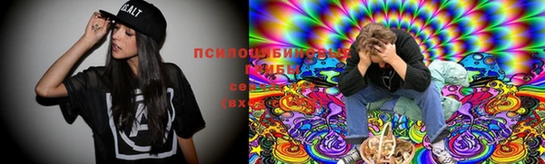 гидра Абаза